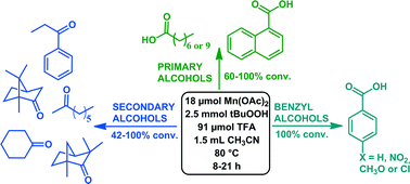 Graphical abstract: Mn(ii) acetate: an efficient and versatile oxidation catalyst for alcohols