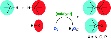 Graphical abstract: Oxidative coupling reactions for the functionalisation of C–H bonds using oxygen