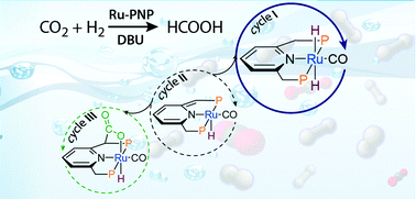 Graphical abstract: Mechanism of CO2 hydrogenation to formates by homogeneous Ru-PNP pincer catalyst: from a theoretical description to performance optimization