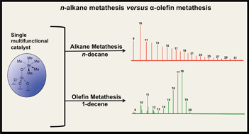 Graphical abstract: Striking difference between alkane and olefin metathesis using the well-defined precursor [ [[triple bond, length as m-dash]] Si–O–WMe5]: indirect evidence in favour of a bifunctional catalyst W alkylidene–hydride