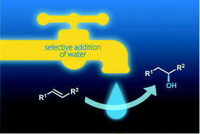 Graphical abstract: The selective addition of water