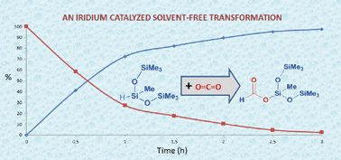 Graphical abstract: Solvent-free iridium-catalyzed CO2 hydrosilylation: experiments and kinetic modeling