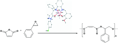Graphical abstract: Alternating ring-opening copolymerization of styrene oxide and maleic anhydride using asymmetrical bis-Schiff-base metal(iii) catalysts