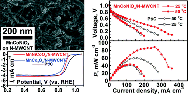 Graphical abstract: MnNiCoO4/N-MWCNT nanocomposite catalyst with high selectivity in membraneless direct formate fuel cells and bifunctional activity for oxygen electrochemistry