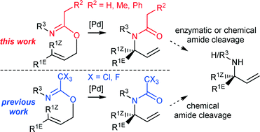 Graphical abstract: Catalytic asymmetric [3,3]-rearrangements of allylic acetimidates