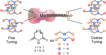 Graphical abstract: Electronic tuning of Mo2(thioamidate)4 complexes through π-system substituents and cis/trans isomerism