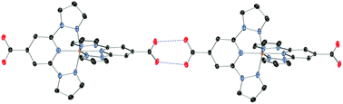 Graphical abstract: A spin-crossover complex based on a 2,6-bis(pyrazol-1-yl)pyridine (1-bpp) ligand functionalized with a carboxylate group