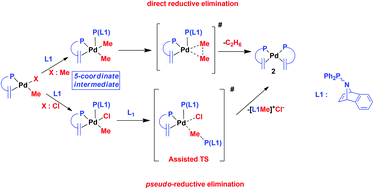 Graphical abstract: Combined DFT and experimental studies of C–C and C–X elimination reactions promoted by a chelating phosphine–alkene ligand: the key role of penta-coordinate PdII