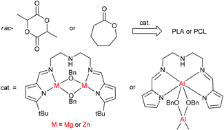 Graphical abstract: Dinuclear magnesium, zinc and aluminum complexes supported by bis(iminopyrrolide) ligands: synthesis, structures, and catalysis toward the ring-opening polymerization of ε-caprolactone and rac-lactide