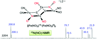 Graphical abstract: The dinitrosyliron complex [Fe4(μ3-S)2(μ2-NO)2(NO)6]2− containing bridging nitroxyls: 15N (NO) NMR analysis of the bridging and terminal NO-coordinate ligands