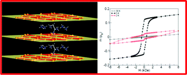 Graphical abstract: A hybrid vanadium fluoride with structurally isolated S = 1 kagome layers