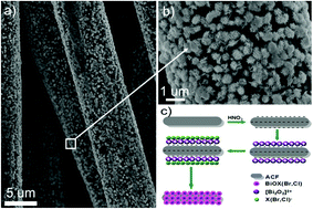 Graphical abstract: Immobilization of BiOX (X = Cl, Br) on activated carbon fibers as recycled photocatalysts