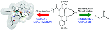 Graphical abstract: Mechanistic insight into the ruthenium-catalysed anti-Markovnikov hydration of alkynes using a self-assembled complex: a crucial role for ligand-assisted proton shuttle processes