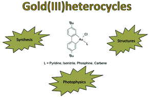 Graphical abstract: Gold(iii) compounds containing a chelating, dicarbanionic ligand derived from 4,4′-di-tert-butylbiphenyl