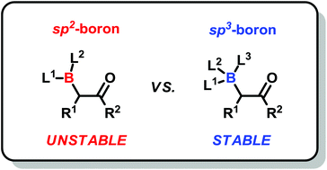 Graphical abstract: α-Borylcarbonyl compounds: from transient intermediates to robust building blocks