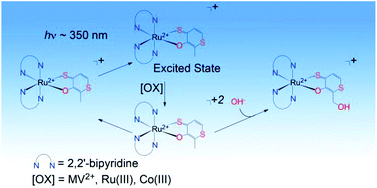 Graphical abstract: Ligand-based photooxidations of dithiomaltolato complexes of Ru(ii) and Zn(ii): photolytic CH activation and evidence of singlet oxygen generation and quenching