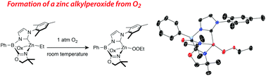 Graphical abstract: Oxygen insertion reactions of mixed N-heterocyclic carbene–oxazolinylborato zinc alkyl complexes