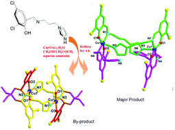 Graphical abstract: Dinuclear Cu(ii) complexes based on two flexible Schiff-base ligands and one unusual in situ formed diphenolate 2,6-piperidin-4-one derivative