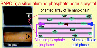Graphical abstract: The selective adsorption of tellurium in the aluminosilicate regions of AFI- and MOR-type microporous crystals