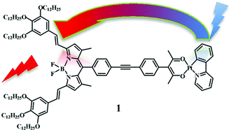 Graphical abstract: Photophysical properties of an unusual bichromophoric species constructed from a cyclometalated Pt(ii) chromophore and a blue Bodipy-acetylacetonate species