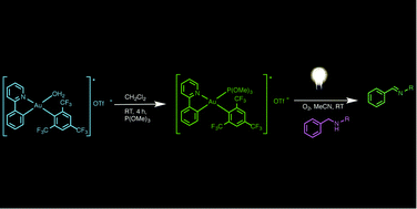 Graphical abstract: Luminescent monocyclometalated cationic gold(iii) complexes: synthesis, photophysical characterization and catalytic investigations