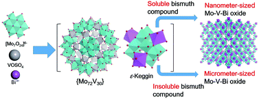 Graphical abstract: Investigation of the formation process of zeolite-like 3D frameworks constructed with ε-Keggin-type polyoxovanadomolybdates with binding bismuth ions and preparation of a nano-crystal