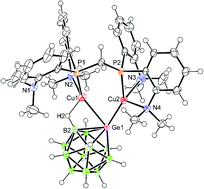 Graphical abstract: Dinuclear copper complexes: coordination of Group 14 heteroborates