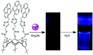 Graphical abstract: Direct evidence of a blocking heavy atom effect on the water-assisted fluorescence enhancement detection of Hg2+ based on a ratiometric chemosensor