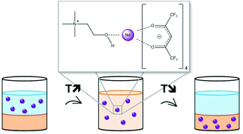 Graphical abstract: Homogeneous liquid–liquid extraction of neodymium(iii) by choline hexafluoroacetylacetonate in the ionic liquid choline bis(trifluoromethylsulfonyl)imide