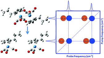 Graphical abstract: Transient 2D-IR spectroscopy of inorganic excited states