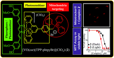 Graphical abstract: Oxovanadium(iv) complexes of curcumin for cellular imaging and mitochondria targeted photocytotoxicity