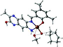 Graphical abstract: 2-Quinoxalinol diamine Cu(ii) complex: facilitating catalytic oxidation through dual mechanisms
