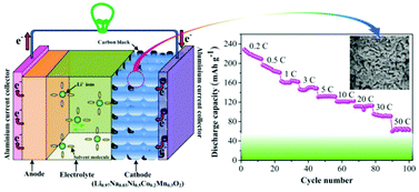 Graphical abstract: Na-doped Ni-rich LiNi0.5Co0.2Mn0.3O2 cathode material with both high rate capability and high tap density for lithium ion batteries
