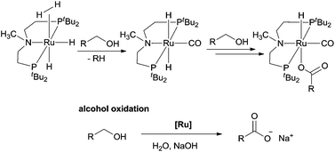 Graphical abstract: Selective conversion of alcohols in water to carboxylic acids by in situ generated ruthenium trans dihydrido carbonyl PNP complexes
