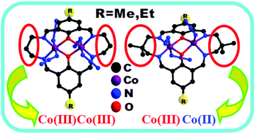 Graphical abstract: Unprecedented dinuclear Robson type macrocyclic complexes having two +iii metal ions in two compartments and the role of the diimino moiety on the stability of metal ion oxidation states