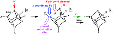Graphical abstract: Large structural changes upon protonation of Fe4S4 clusters: the consequences for reactivity