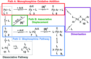 Graphical abstract: Computed ligand effects on the oxidative addition of phenyl halides to phosphine supported palladium(0) catalysts
