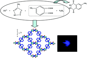Graphical abstract: New Zn2+ coordination polymers constructed from acylhydrazidate molecules: synthesis and structural characterization