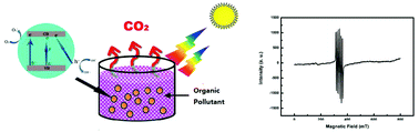 Graphical abstract: F, Ca co-doped TiO2 nanocrystals with enhanced photocatalytic activity