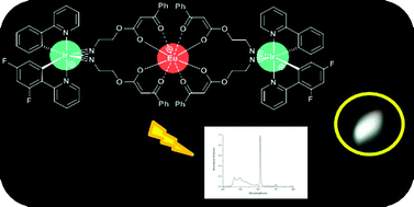 Graphical abstract: New heterometallic Ir(iii)2–Eu(iii) complexes: white light emission from a single molecule