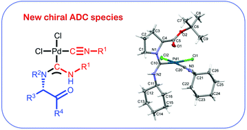Graphical abstract: Metal-mediated coupling of amino acid esters with isocyanides leading to new chiral acyclic aminocarbene complexes