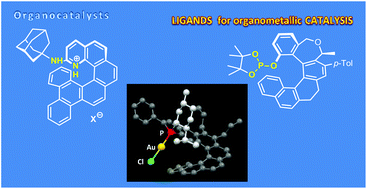 Graphical abstract: Helicene-like chiral auxiliaries in asymmetric catalysis