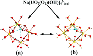 Graphical abstract: Alkali-metal ion coordination in uranyl(vi) poly-peroxide complexes in solution. Part 1: the Li+, Na+ and K+ – peroxide–hydroxide systems