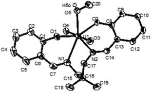Graphical abstract: Novel uranyl(vi) complexes incorporating propylene-bridged salen-type N2O2-ligands: a structural and computational approach