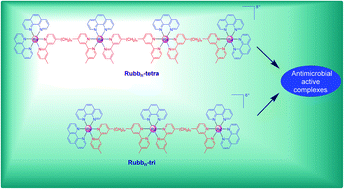 Graphical abstract: Tri- and tetra-nuclear polypyridyl ruthenium(ii) complexes as antimicrobial agents