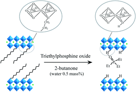 Graphical abstract: Intercalation of triethylphosphine oxide bearing a phosphoryl group into Dion–Jacobson-type ion-exchangeable layered perovskites