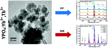 Graphical abstract: Down- and up-converting dual-mode YPO4:Yb3+,Tb3+ nanocrystals: synthesis and spectroscopic properties