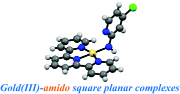 Graphical abstract: Synthesis, structures and stability of amido gold(iii) complexes with 2,2′:6′,2′′-terpyridine
