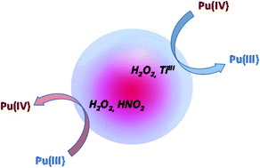 Graphical abstract: Sonochemical redox reactions of Pu(iii) and Pu(iv) in aqueous nitric solutions