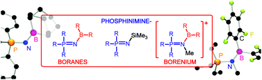 Graphical abstract: Phosphinimine-substituted boranes and borenium ions